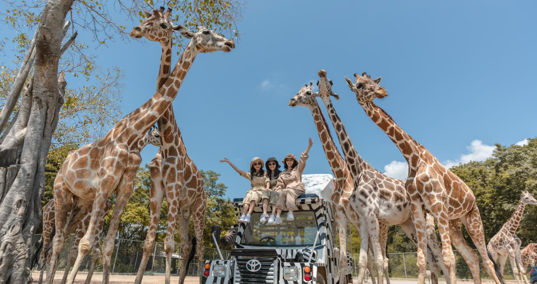 旅遊分享(2)標題