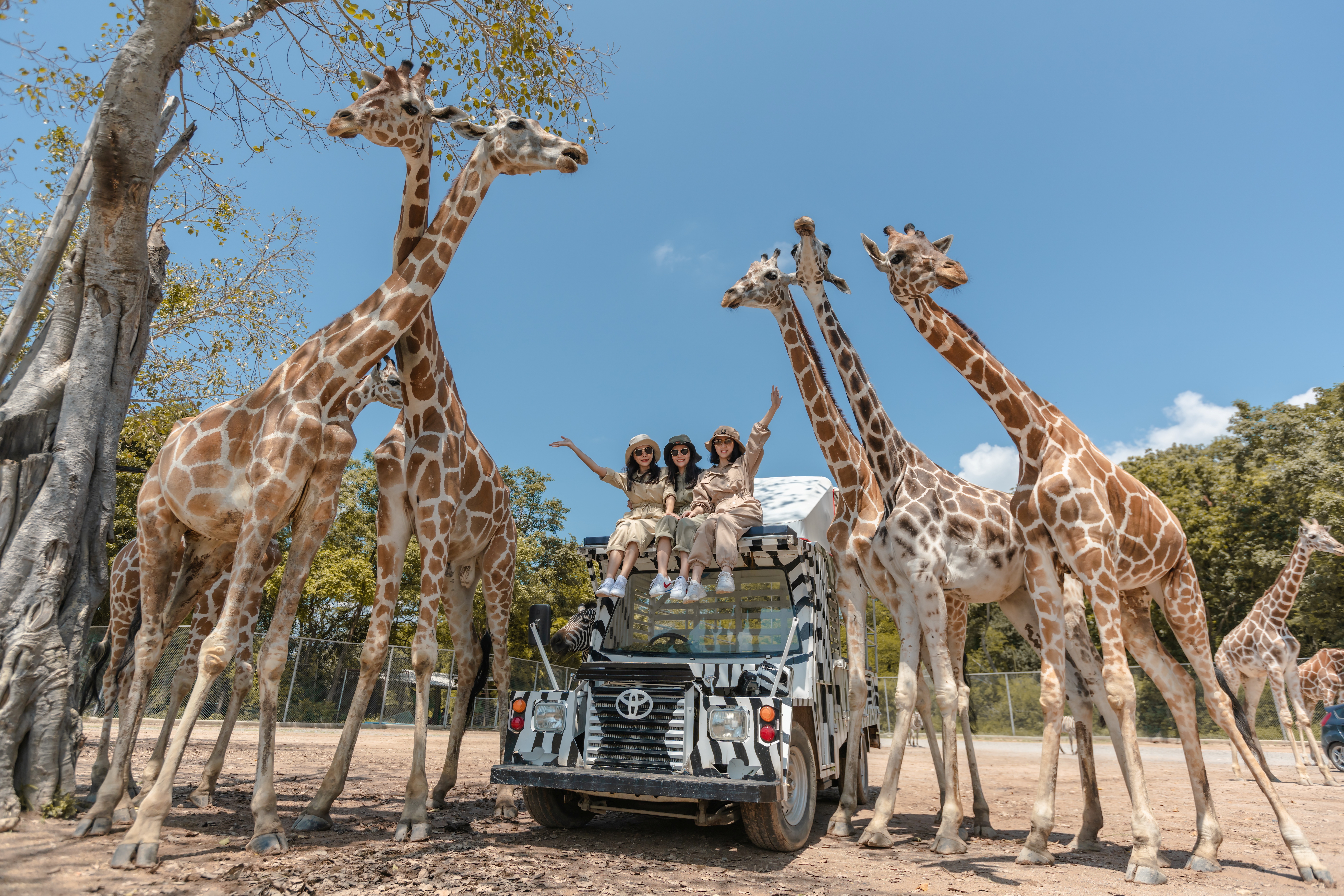 北碧府動物園 Safari Park